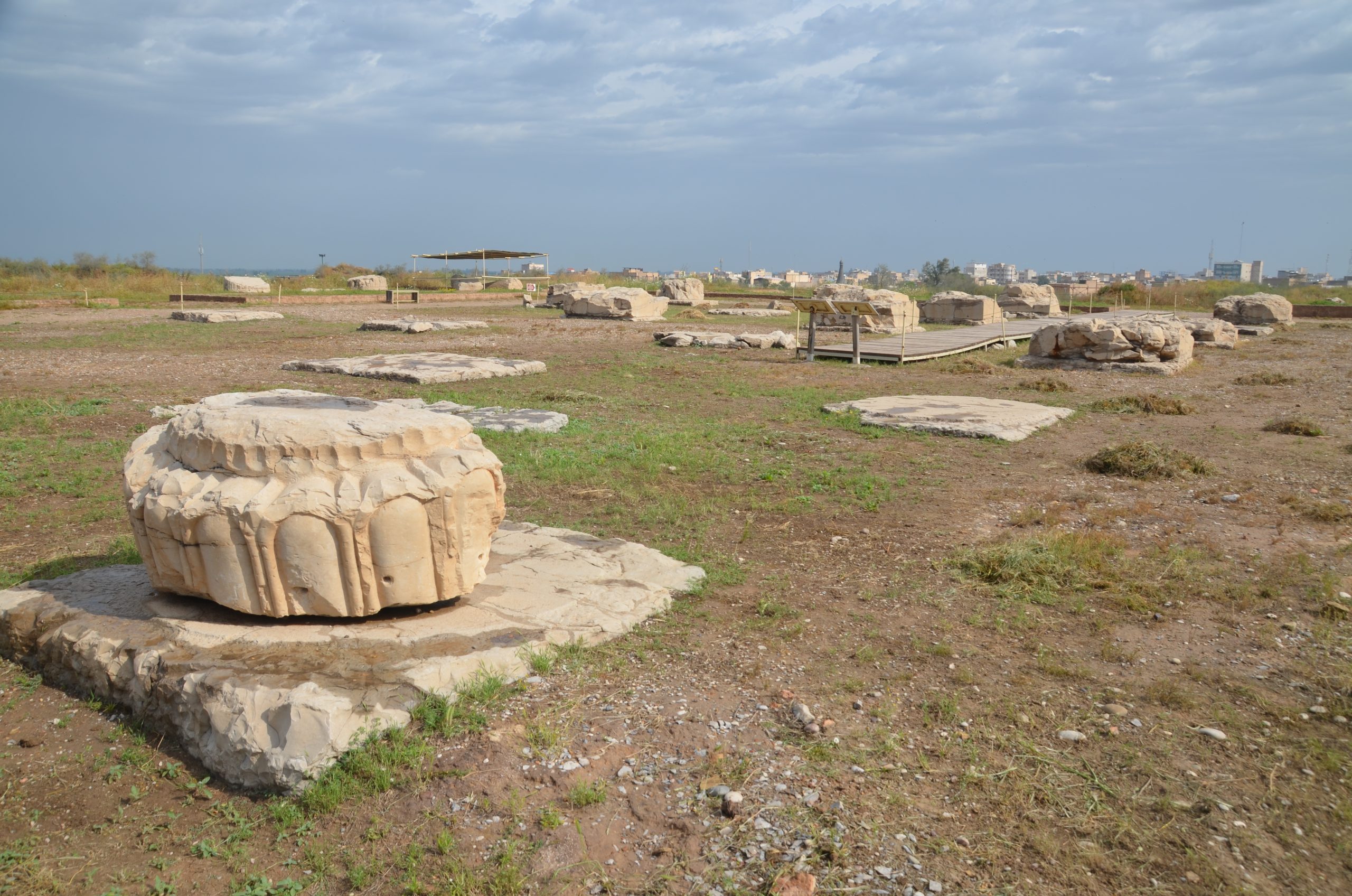 Another view of the Apadana columns and ruins at Susa