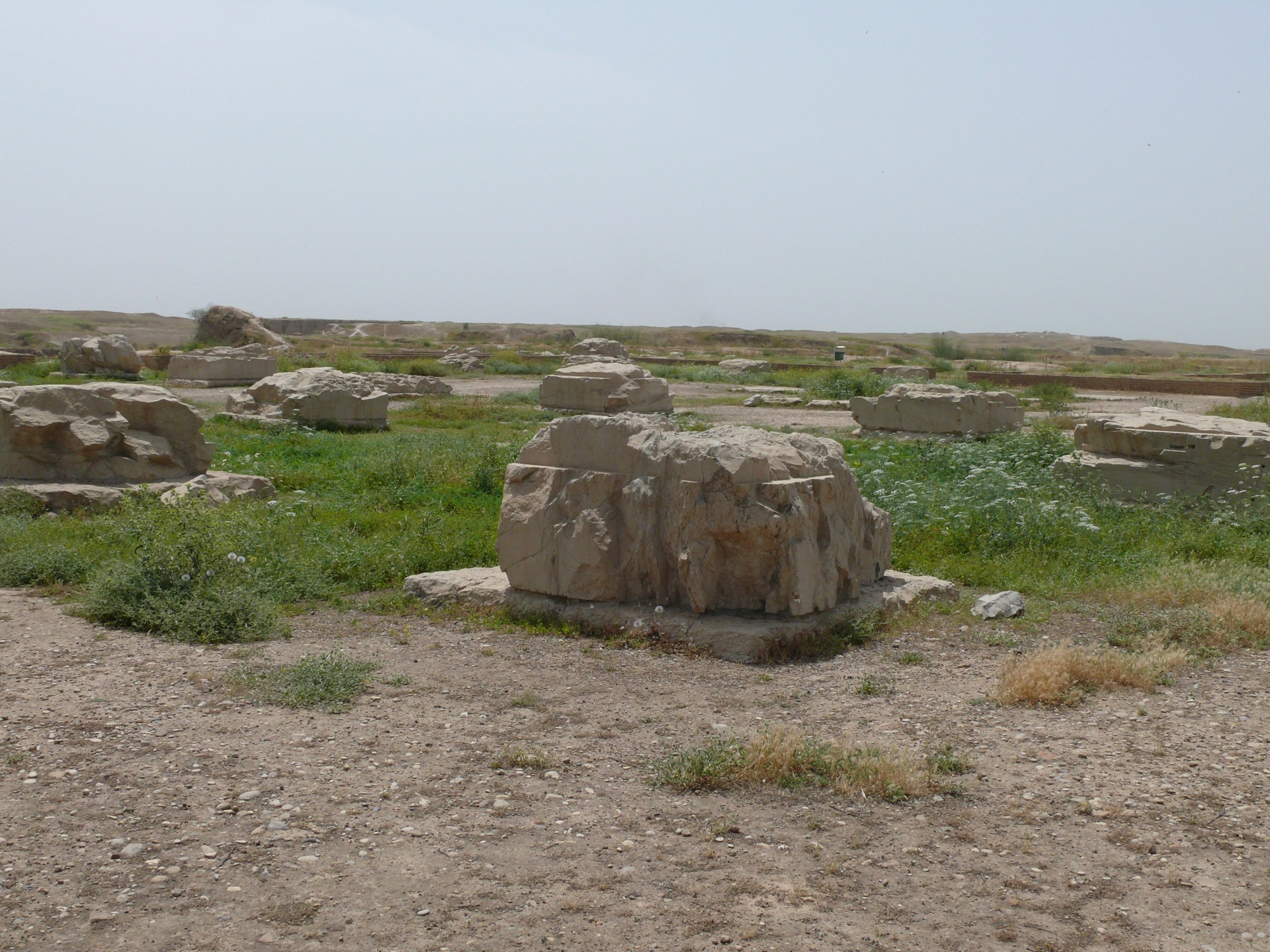 Square column bases of the Apadana at Susa