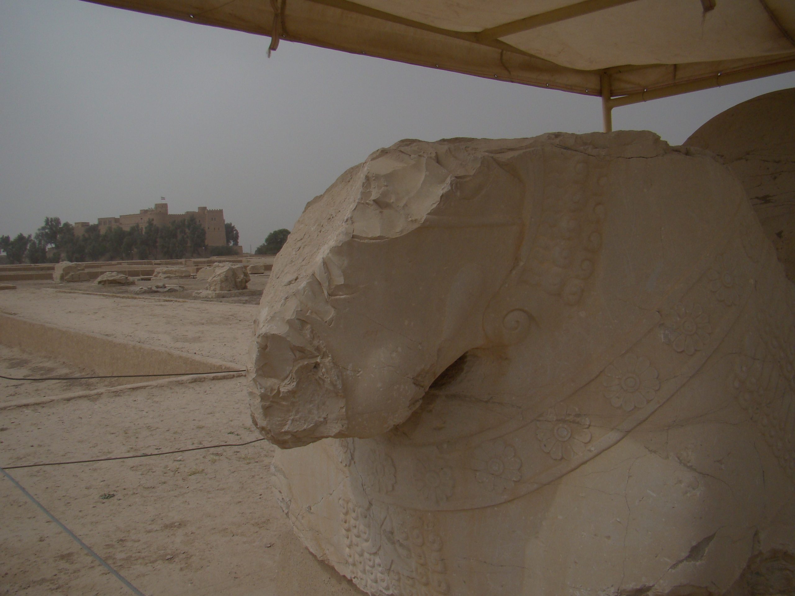 Excavated remains across the acropolis of Susa
