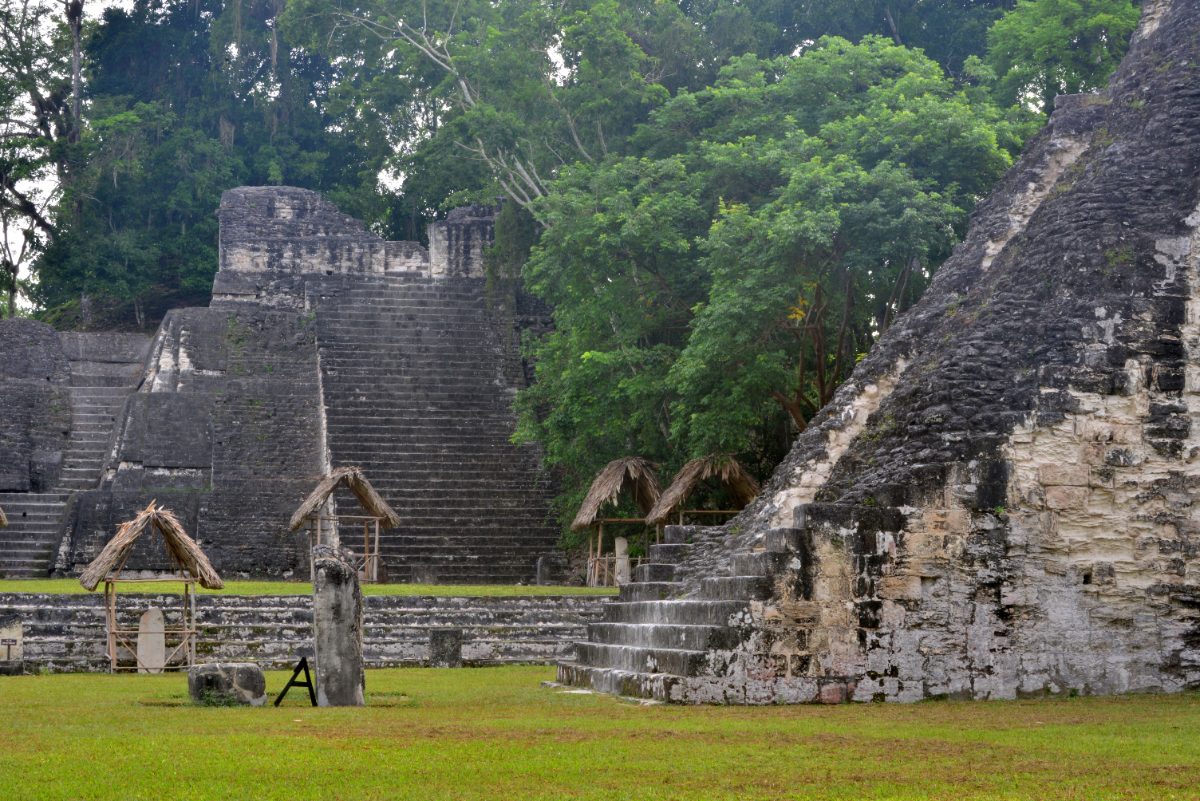 View from Temple IV over the rainforest canopy at Tikal Guatemala