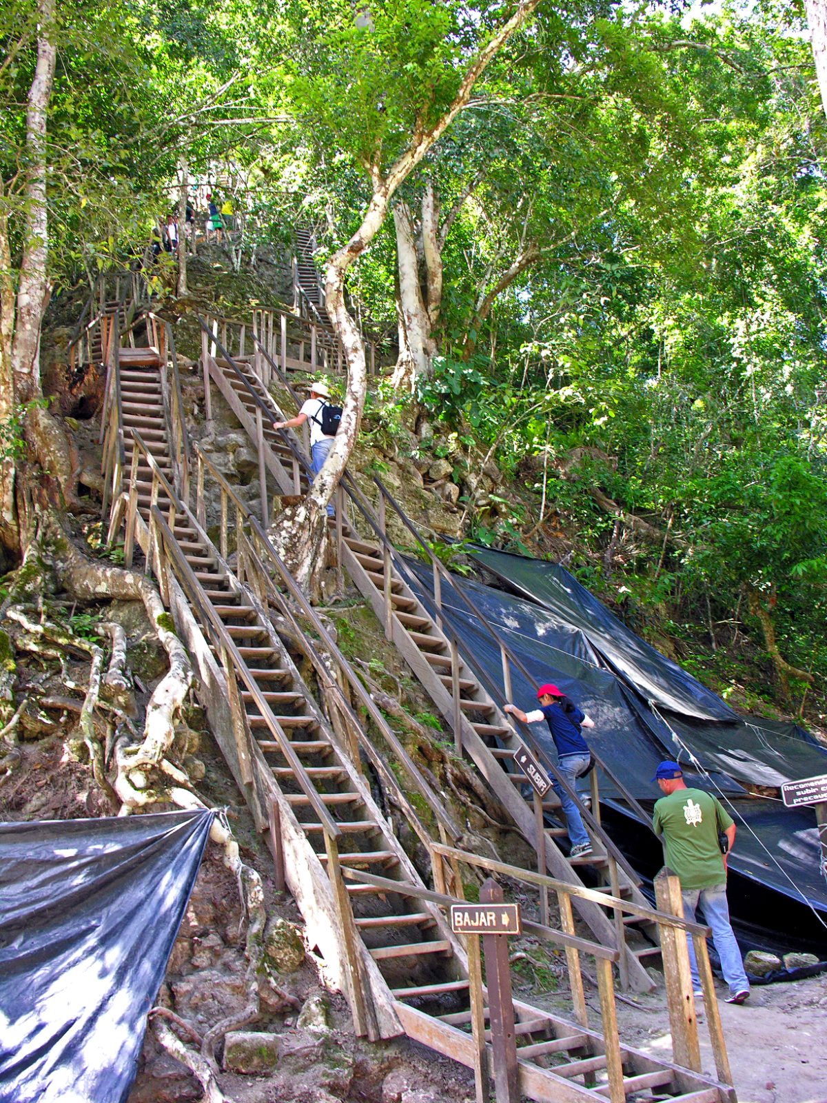 Roof comb of Temple IV rising above the jungle at Tikal