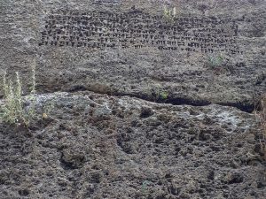 A cuneiform inscription of the Urartian king Sarduri carved in stone