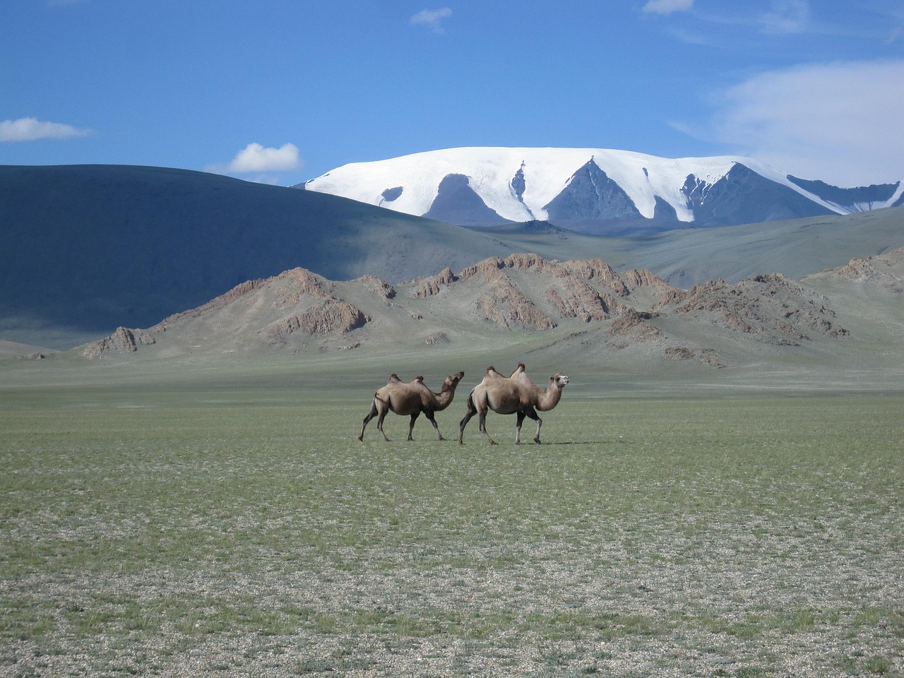 The wide grasslands of Tuva