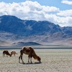 Steppe and mountains of inner Asia