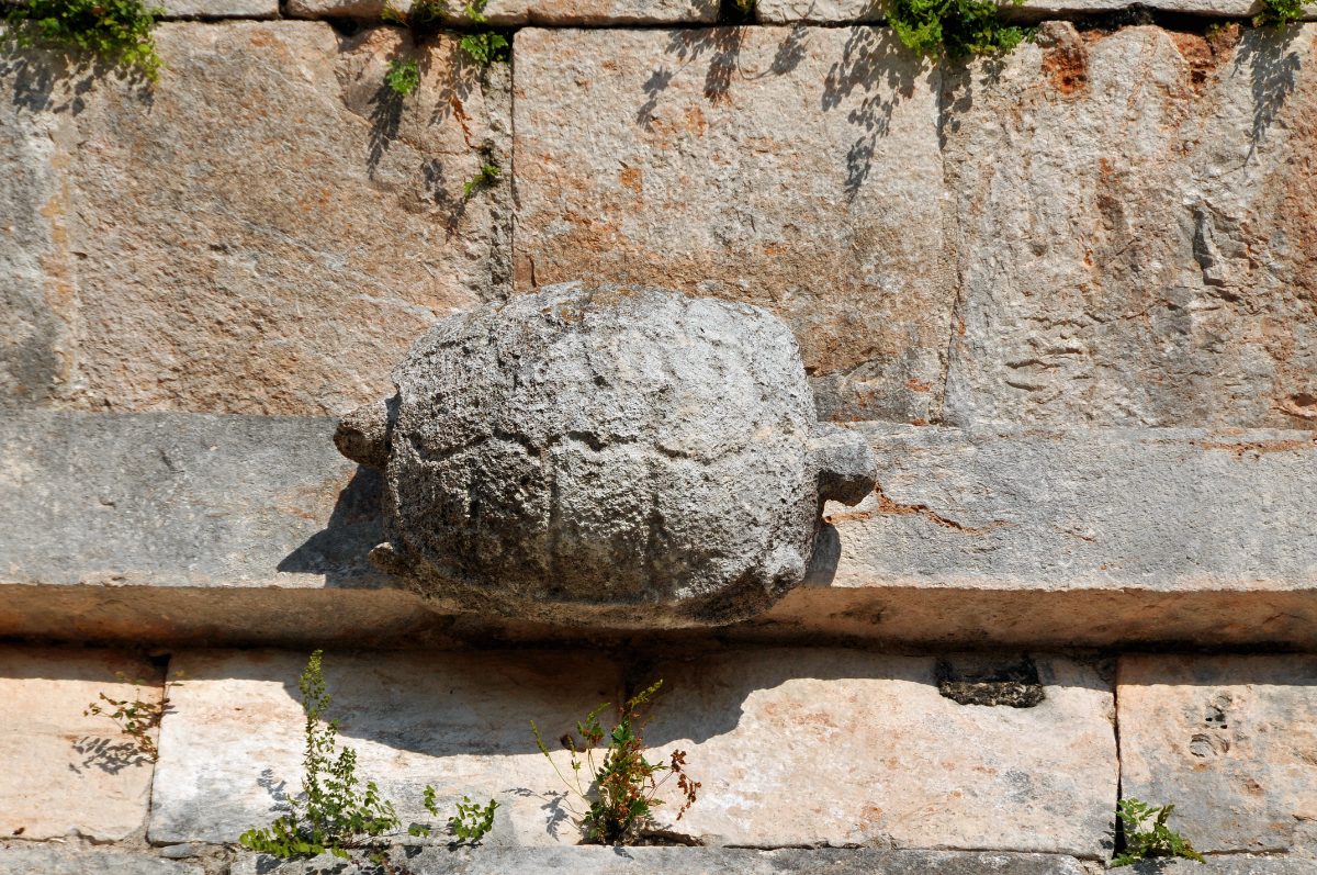 Carved turtle cornice detail on the House of the Turtles at Uxmal