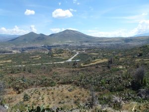Ruins of the Wari archaeological site near Ayacucho, Peru