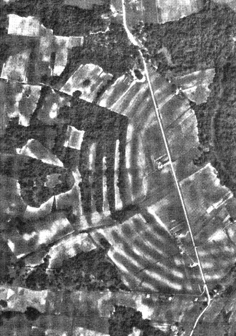 arial photograph of the en:Poverty Point site, Louisiana.