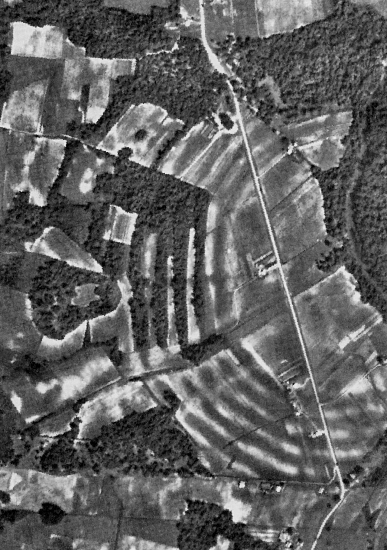 Aerial photograph of the Poverty Point site, Louisiana. Edited version. Original