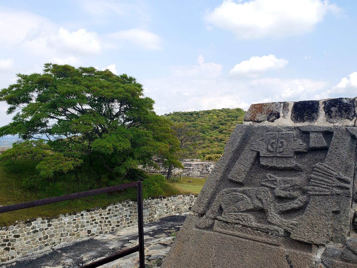 Carved animal relief sculpture found at Xochicalco archaeological site