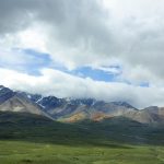 Alaska tundra