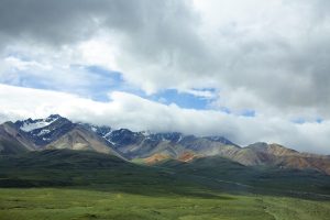 Alaska tundra
