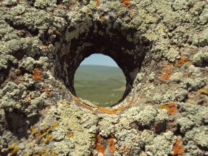 Weathered standing stones of Karahunj under an open Armenian sky