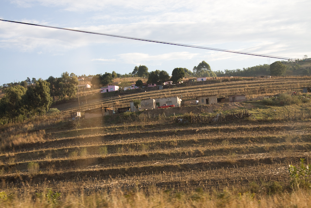 Agricultural terraces near Mbabane