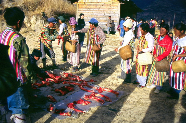 Villagers dividing meat equally after a communal sacrifice, a Derung custom of shared portions