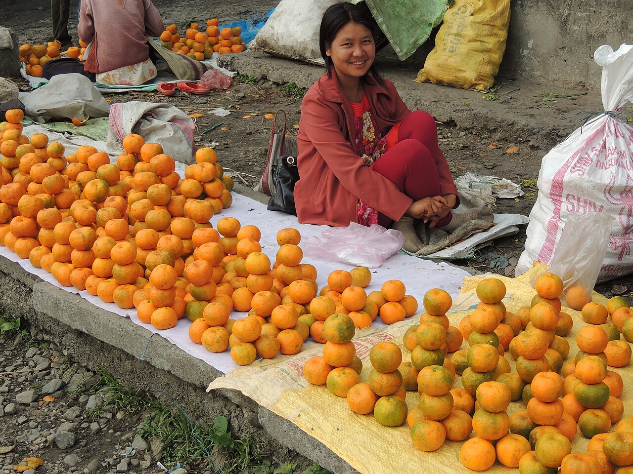 A Mishmi girl with oranges at Roing, fruit of the warm Himalayan valleys