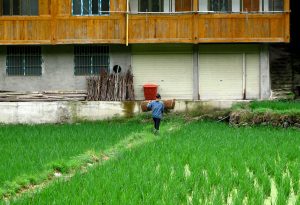 Dong people at Zhaoxing