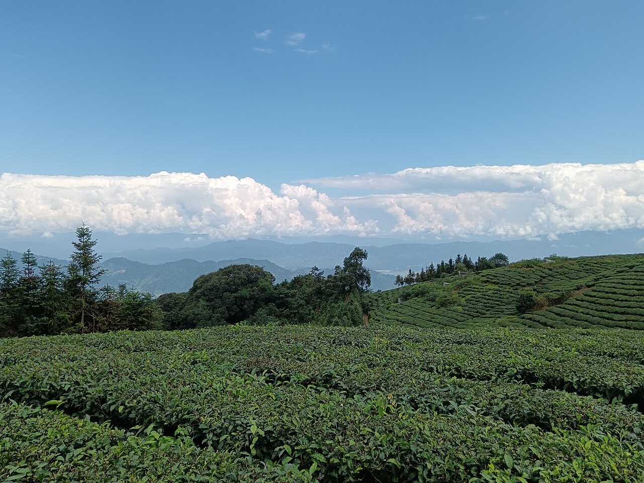 The mountains between Mangshi and Longchuan