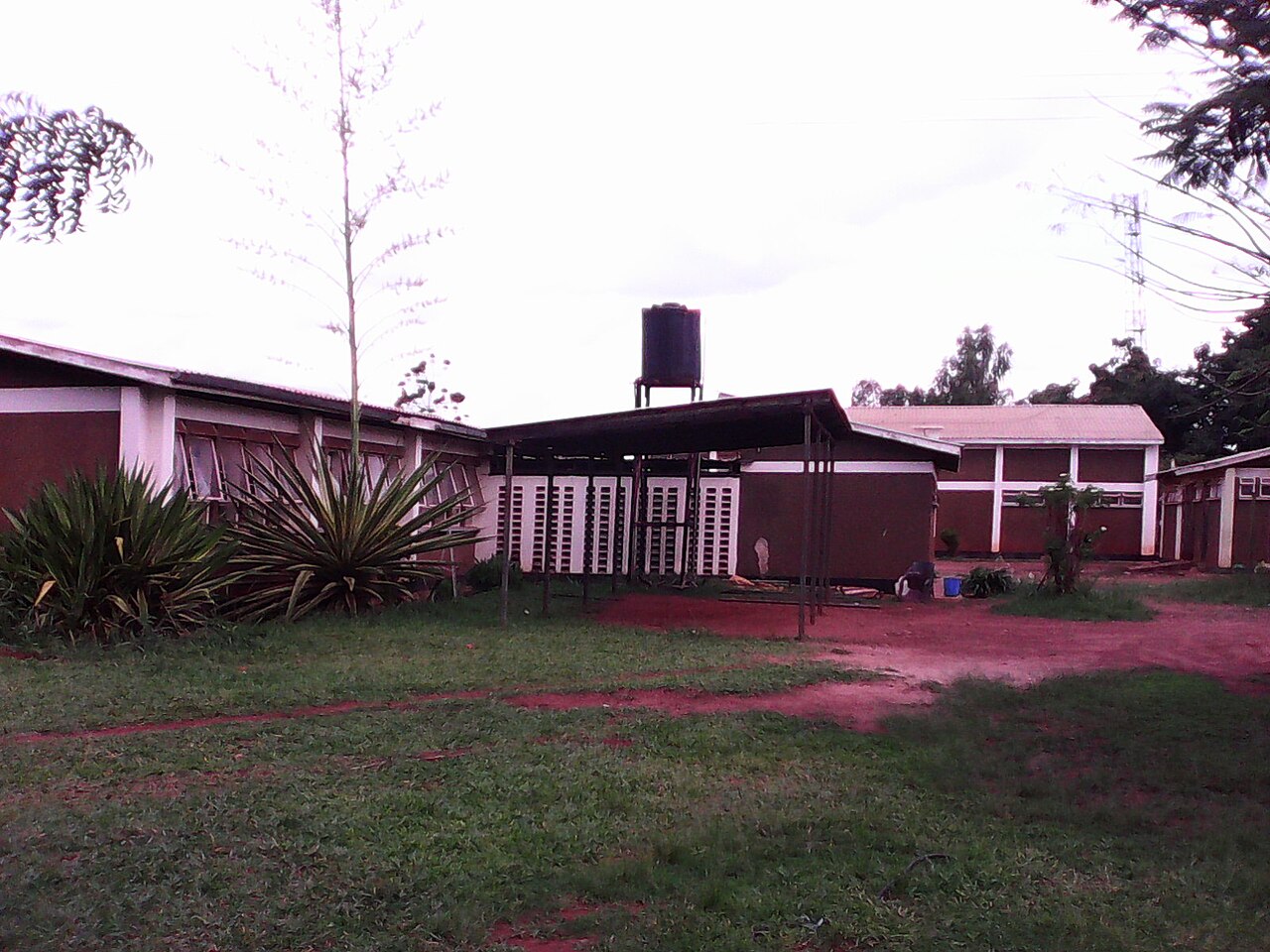 The savanna landscape of northern Uganda, the Acholi homeland.