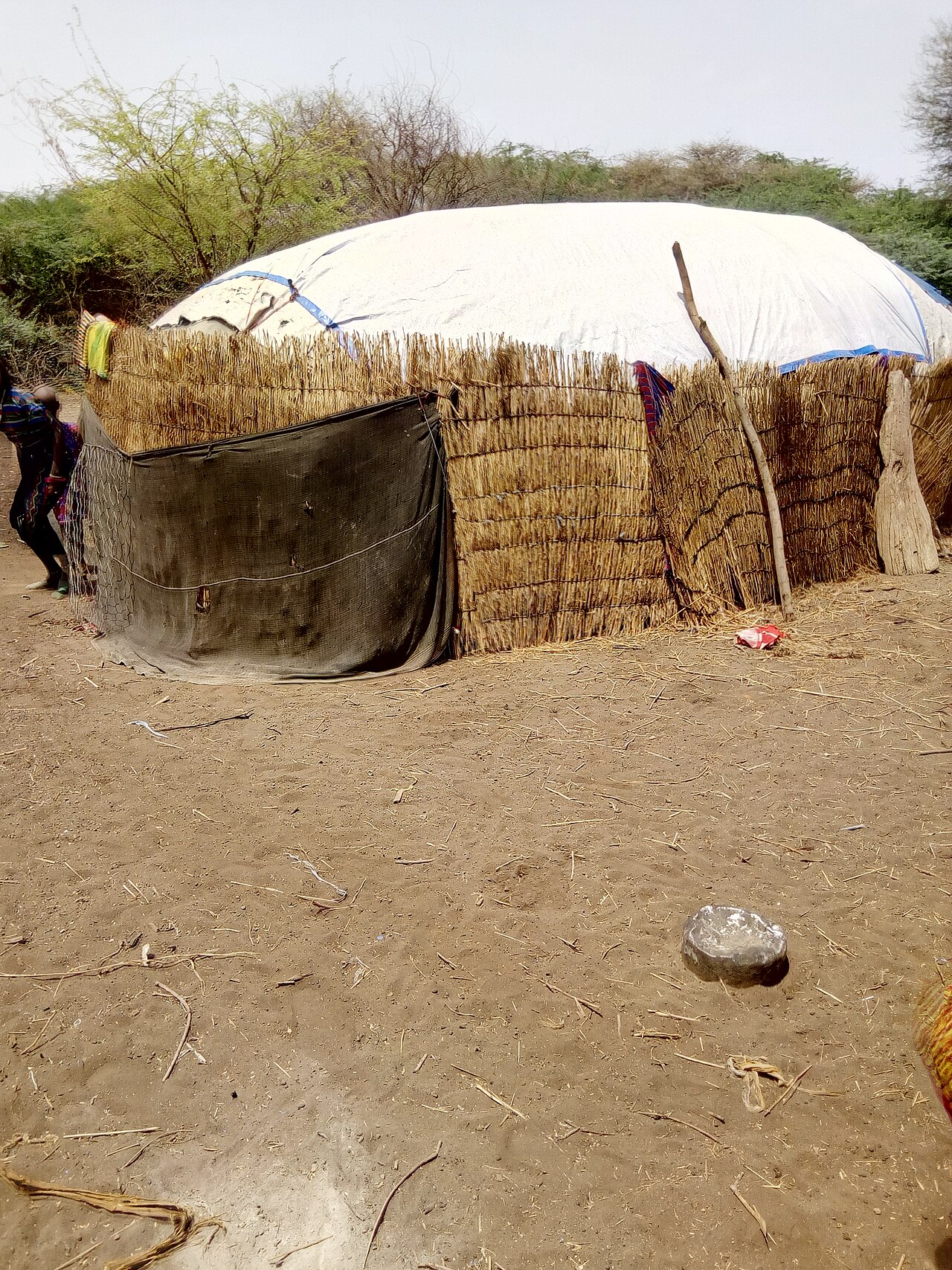 A traditional mat-covered Afar house, woven and built by the women.