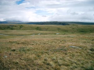 The Ukok Plateau, whose ancient Pazyryk tombs hold the roots of the Altai