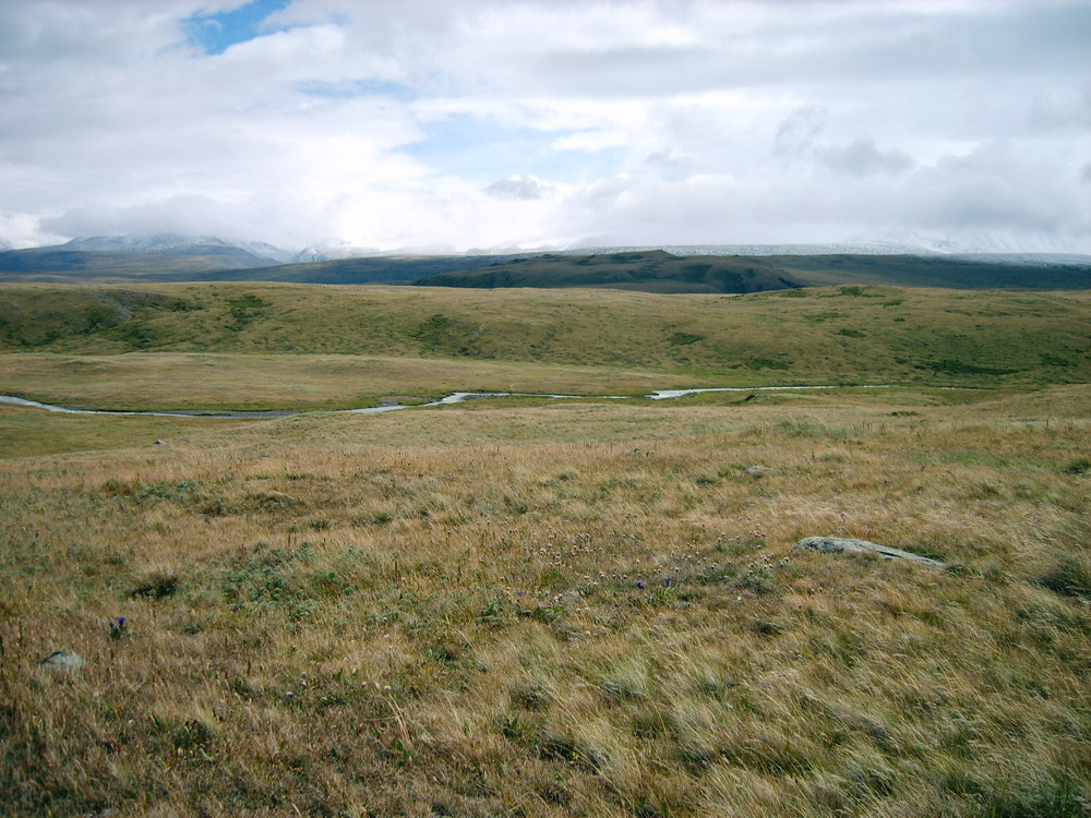 The Ukok Plateau, whose ancient Pazyryk tombs hold the roots of the Altai