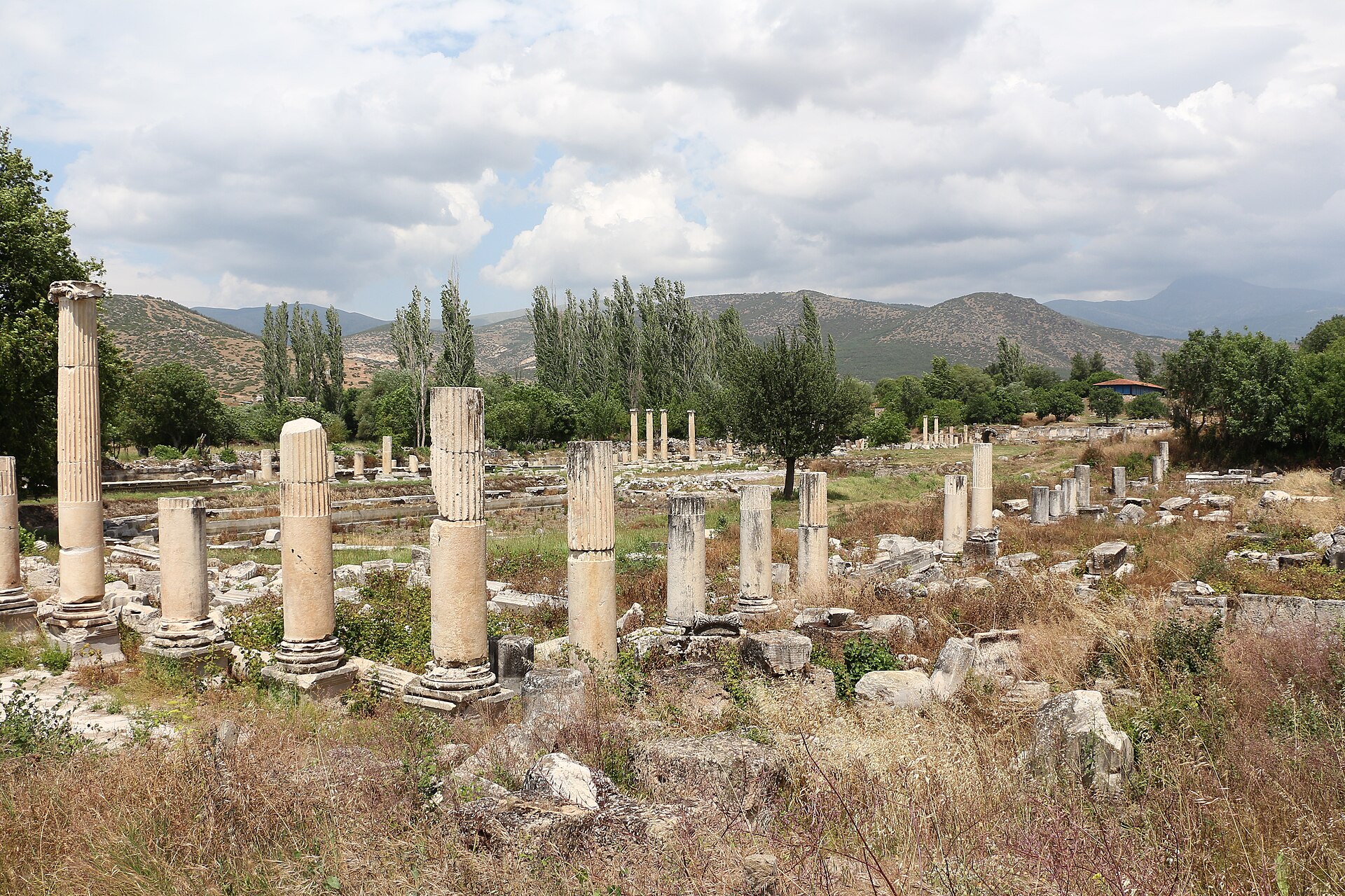 The colonnaded civic centre of Aphrodisias.
