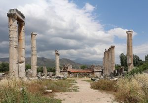 The columns of the Temple of Aphrodite at Aphrodisias.