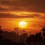 The green land of Uganda