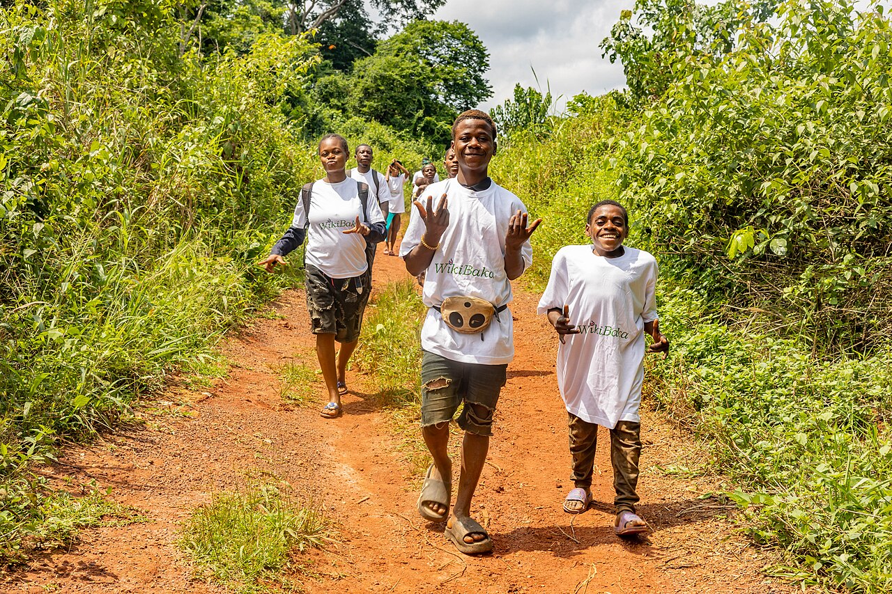 A Baka gathering in the Cameroonian forest.