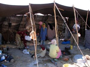 The simple camp life of the Bakhtiari, whose diet rests on dairy and bread.