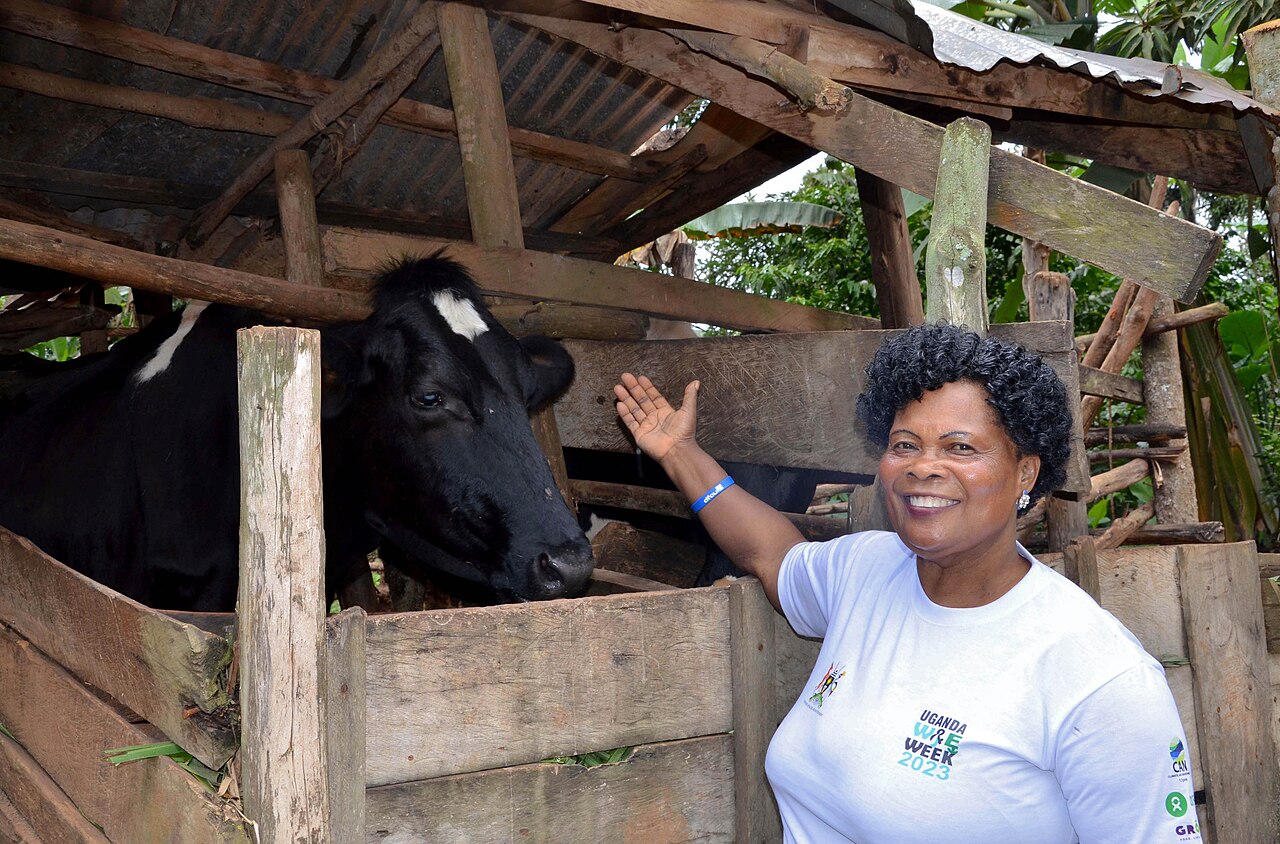 A woman of southwestern Uganda with her cow; the Banyankole speak Runyankole.