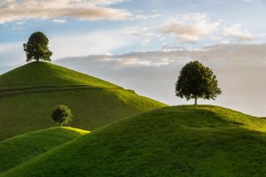 Hill Nature