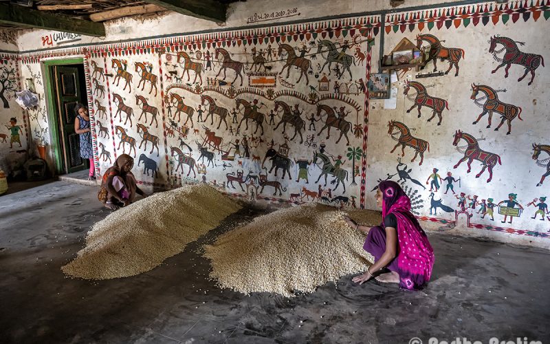 A Pithora painting, the sacred ritual art of the Bhil people