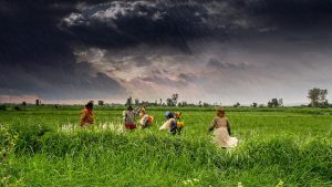 Agriculture and rural life in the Bhil country