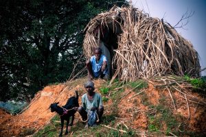 Hut Thatched
