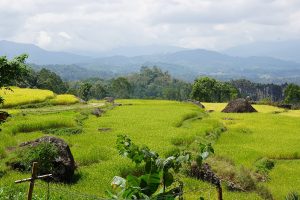 The landscape of Sulawesi, homeland of the Bugis