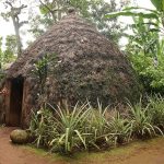 A traditional Chagga house on the forested slopes of Kilimanjaro.