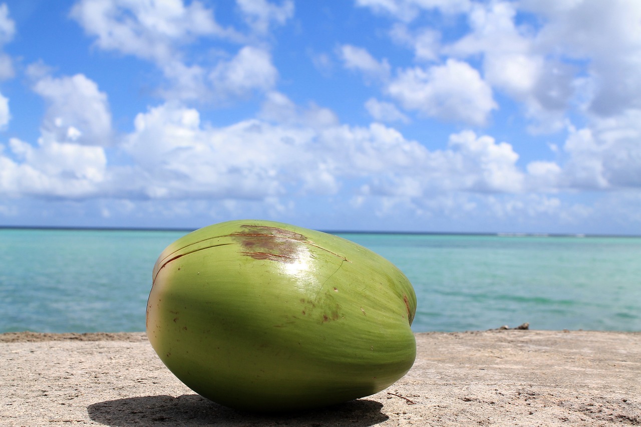 Coconut Guam