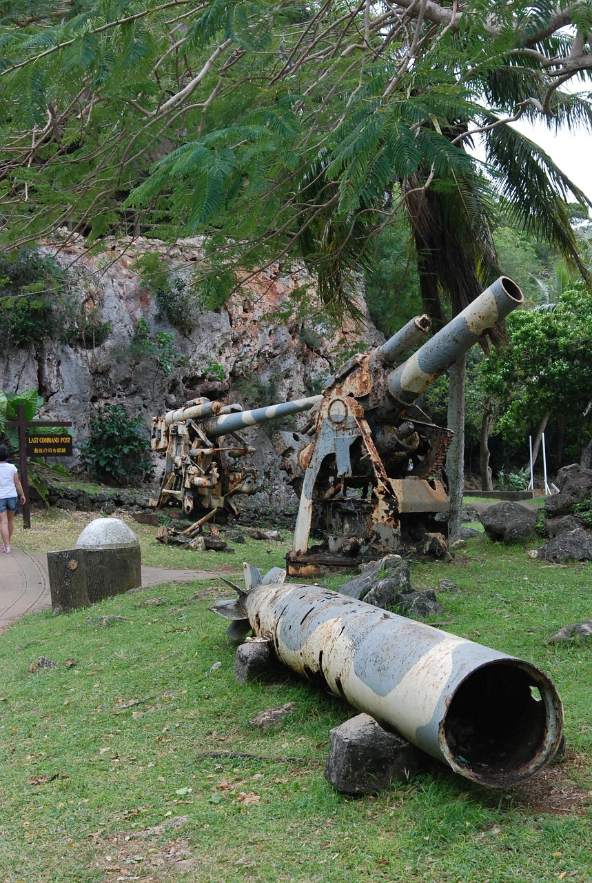 Cannon Artillery
