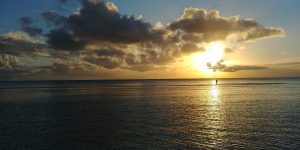 Sunset Nature