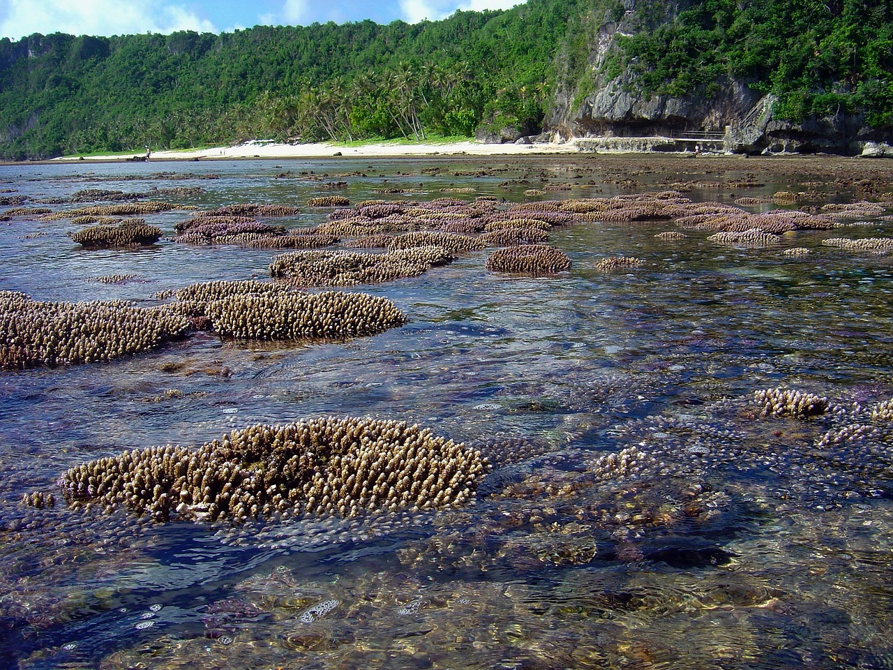Guam Bay