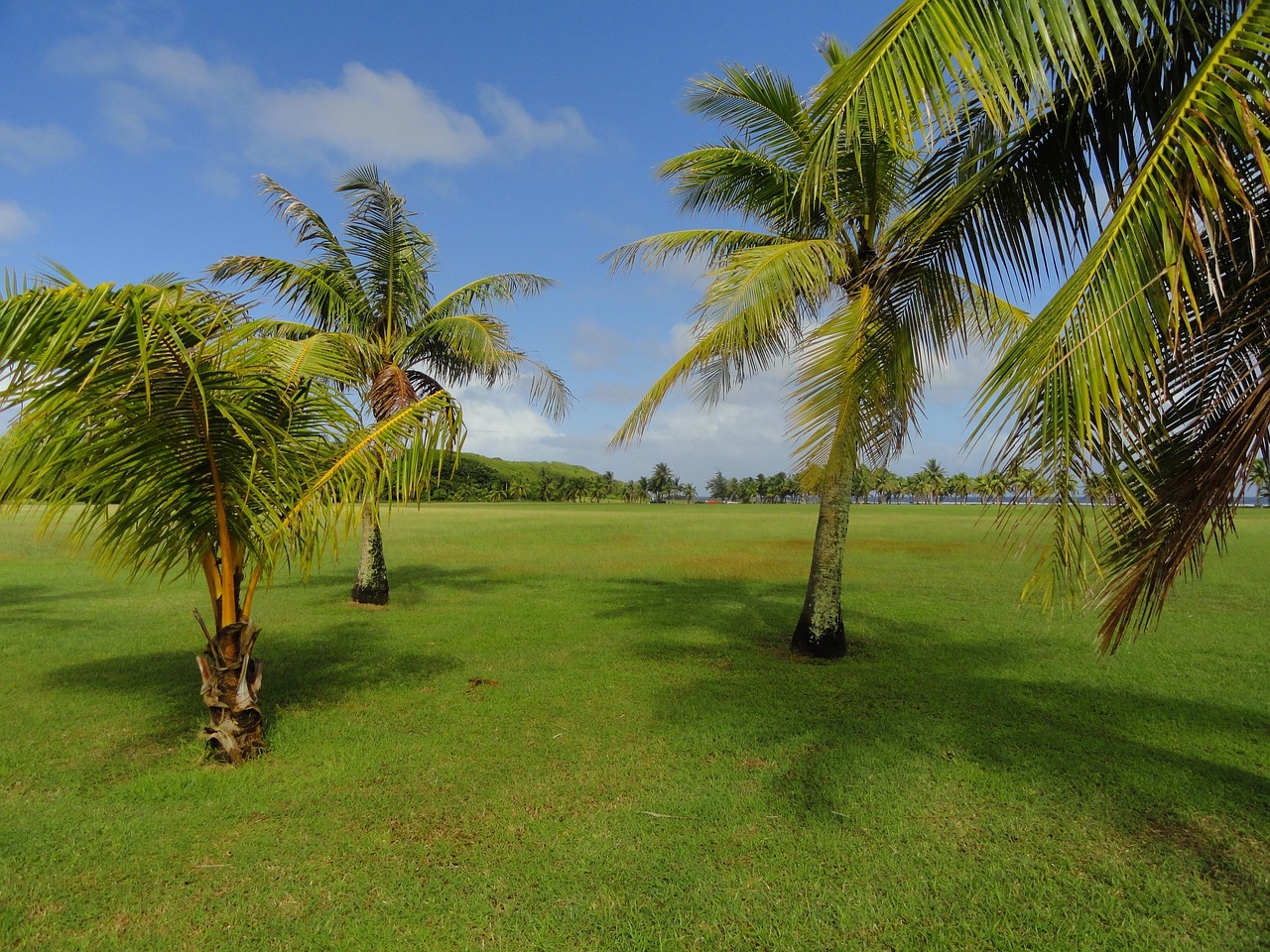 Guam Sky