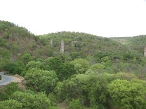 The Nallamala hills and forest, homeland of the Chenchu