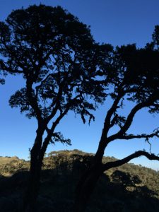 Nat Ma Taung, or Mount Victoria, the great peak of the Chin Hills