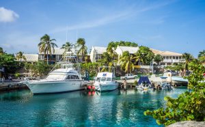 Boats Tropical
