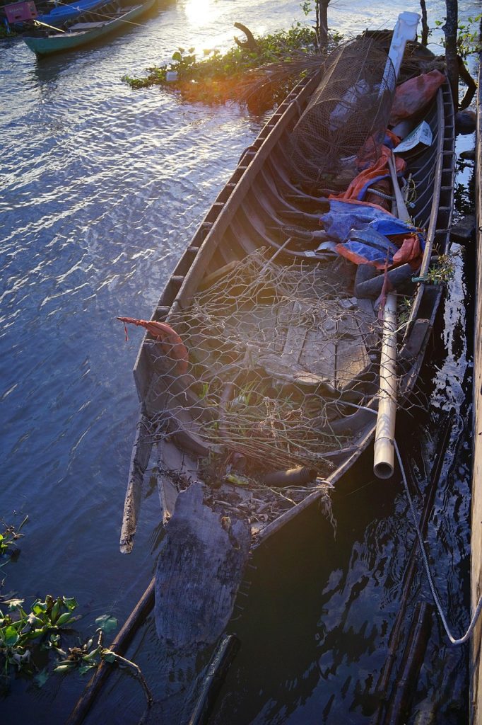 Canoe River photo and picture