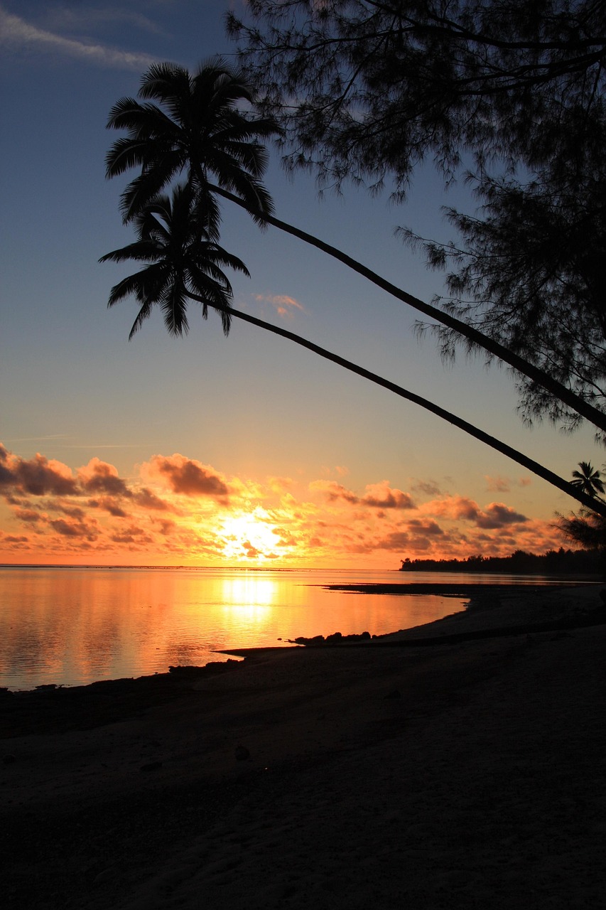 Rarotonga Sunset Festival