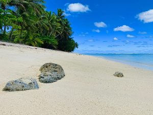 Beach Ocean