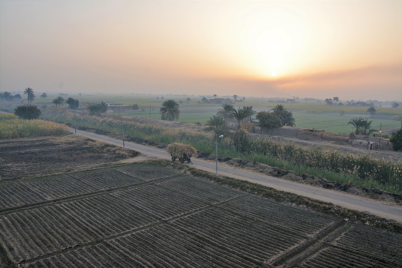 Field Road