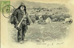 A Corsican shepherd